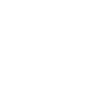 Logo des Partners Intertrends